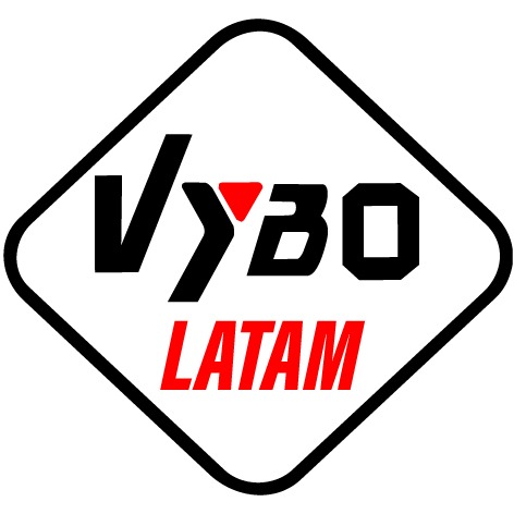 logo vybo